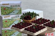 三口齐进高速赋能产业升级：一条“杨梅路”的致富密码