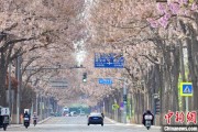 三口齐进共建“花园城市” 北京这场议政会“百花齐放”